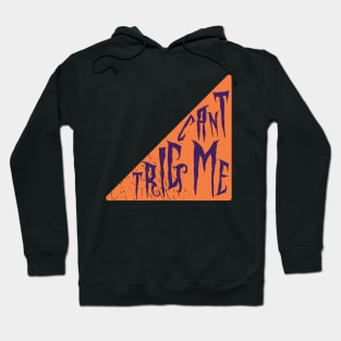 Can't trig me Triangle Pun Hoodie